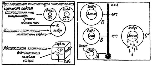 Влажность воздуха